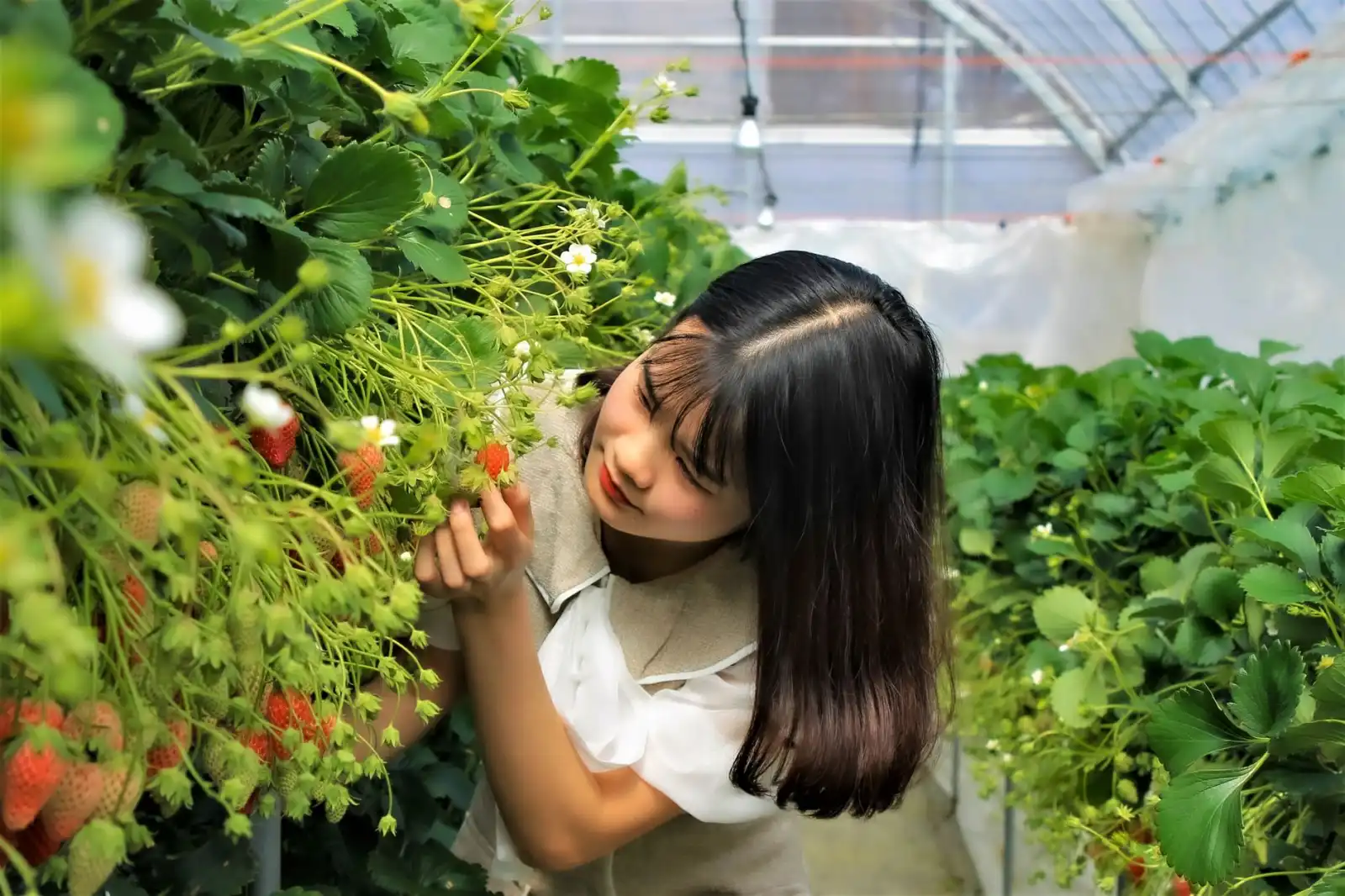 上海企业年会餐饮服务模式创新与菜单设计趋势分析