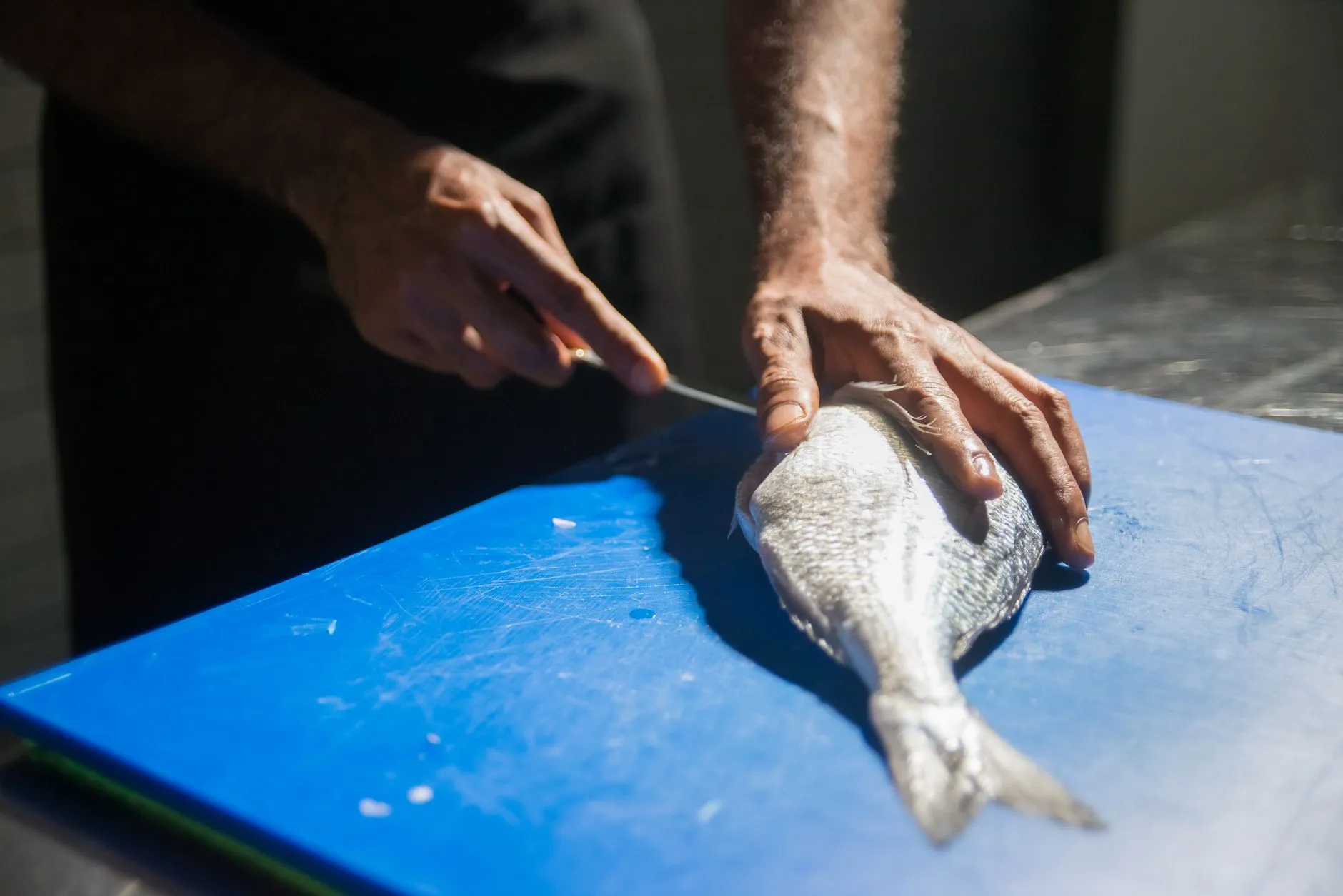 高端宴会接待中的食材供应链管理与品质把控要点正文配图 1