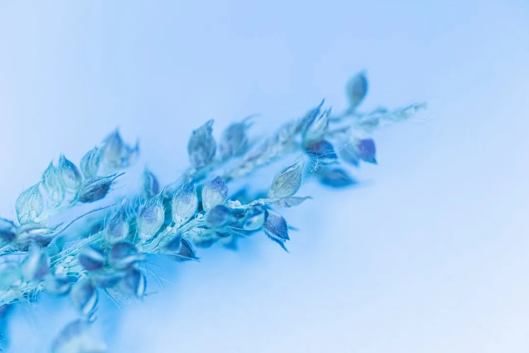 高端宴会接待中的食材供应链管理与品质把控要点