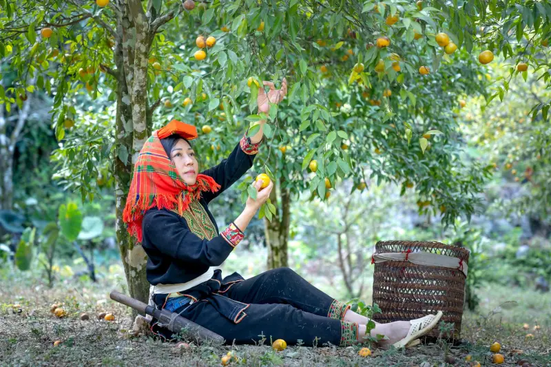 企业年会活动配餐怎么选？上海铭莜亘餐饮管理服务有限公司分享宴会接待经验